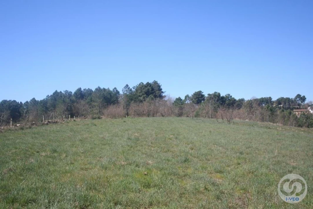 Terreno para Venda em Vale de Anta Foto 22