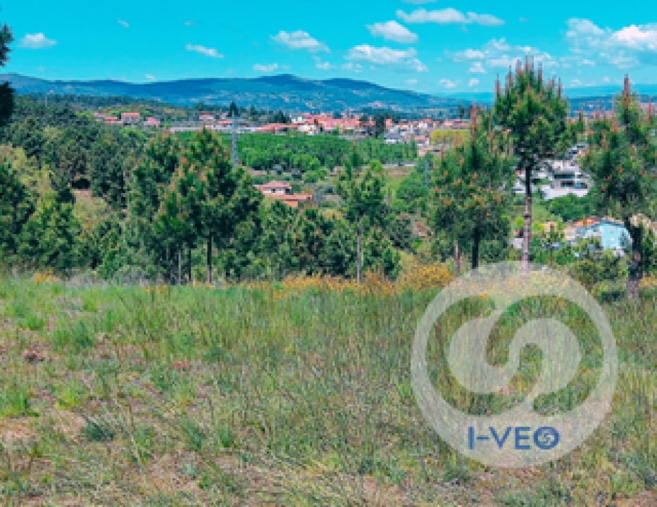 Terreno para Venda em Vale de Anta Foto 4