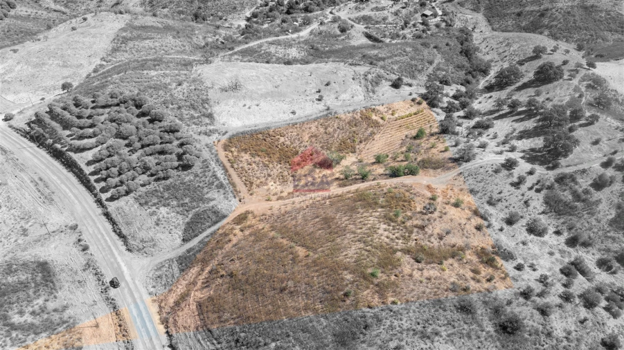 Terreno Agricola ou Rústico para Venda em Azinhal Foto 8