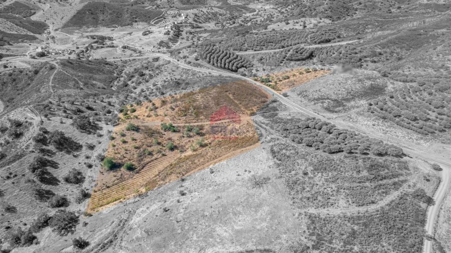 Terreno Agricola ou Rústico para Venda em Azinhal Foto 6