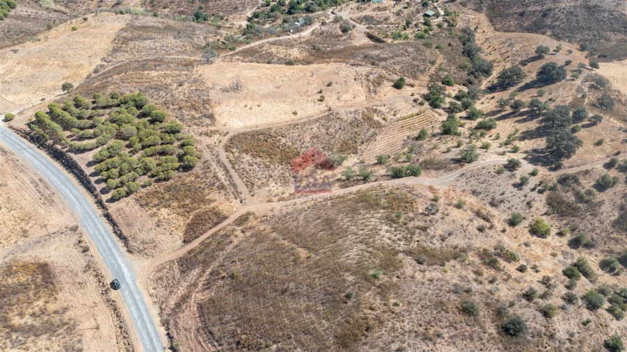 Terreno Agricola ou Rústico para Venda em Azinhal Foto 3