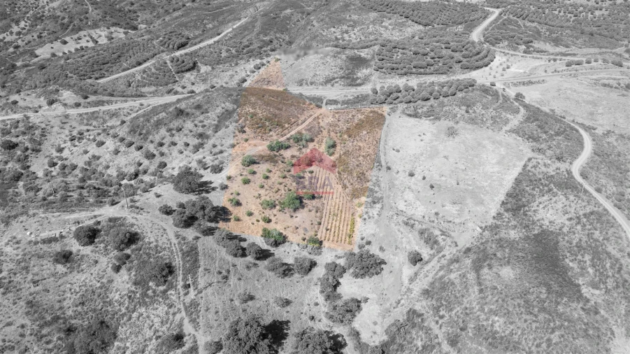 Terreno Agricola ou Rústico para Venda em Azinhal Foto 4