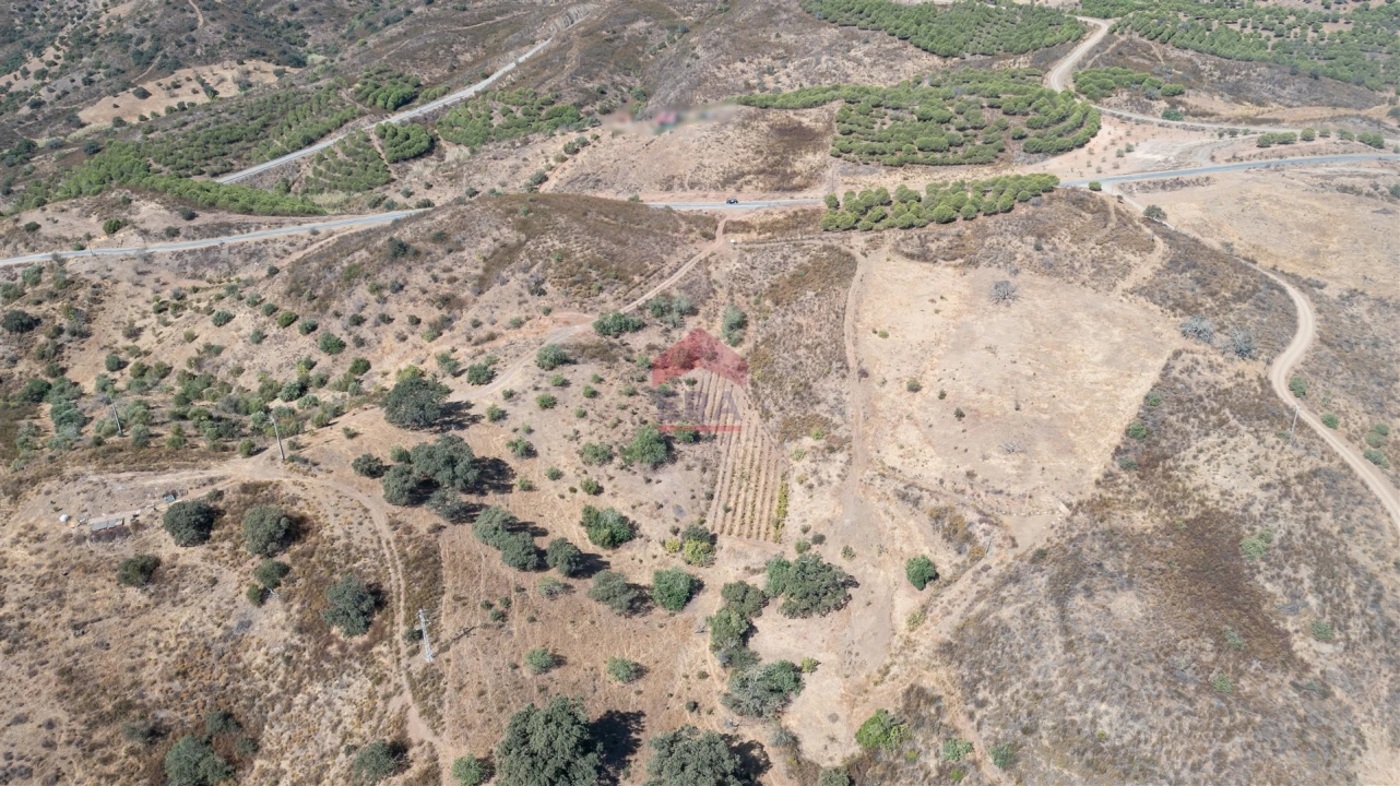 Terreno Agricola ou Rústico para Venda em Azinhal Foto 5