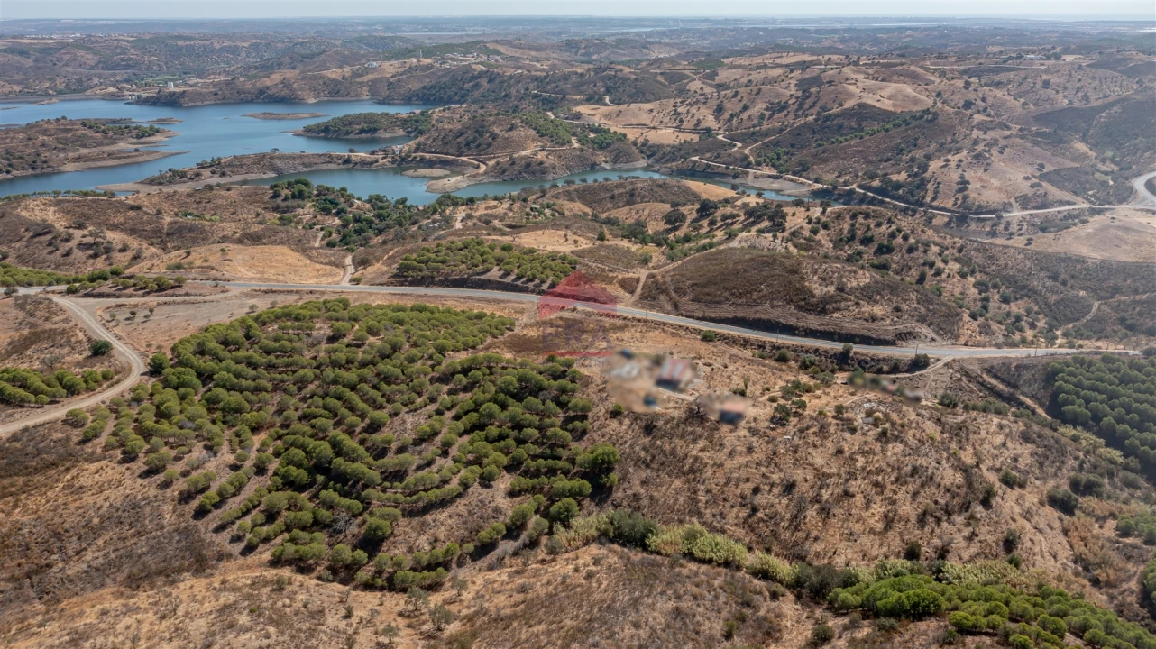 Terreno Agricola ou Rústico para Venda em Azinhal Foto 11
