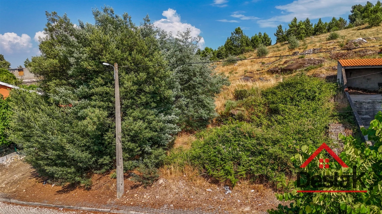 Terreno para Venda em Tavares (Chãs, Várzea e Travanca) Foto 11