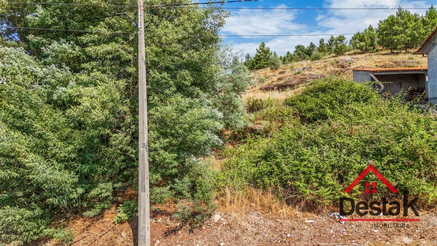 Terreno para Venda em Tavares (Chãs, Várzea e Travanca) Foto 10