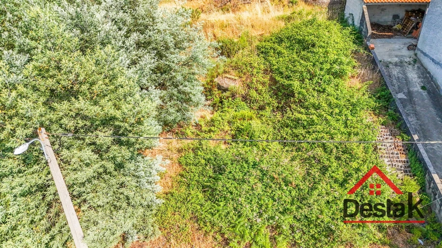 Terreno para Venda em Tavares (Chãs, Várzea e Travanca) Foto 13