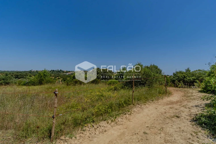 Quinta T4 para Venda em Brogueira, Parceiros de Igreja e Alcorochel Foto 44