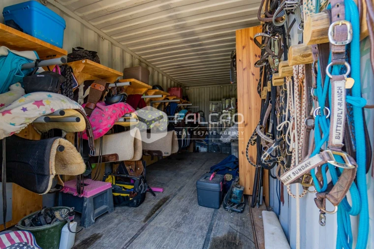 Quinta T4 para Venda em Brogueira, Parceiros de Igreja e Alcorochel Foto 48