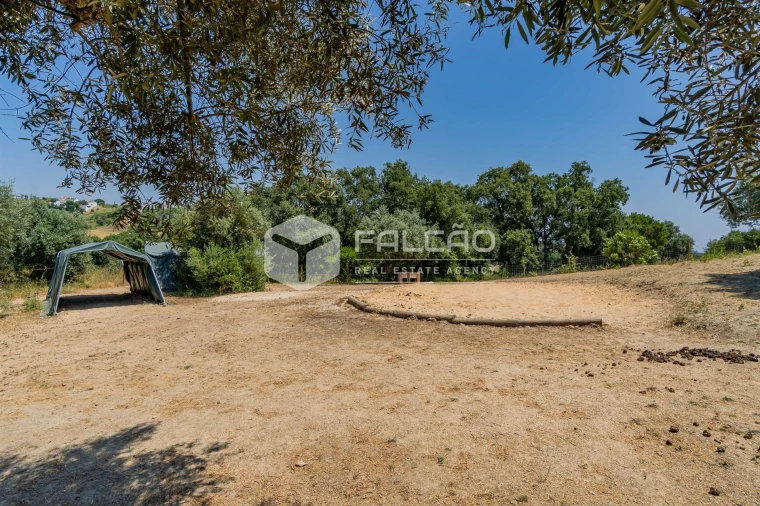 Quinta T4 para Venda em Brogueira, Parceiros de Igreja e Alcorochel Foto 46