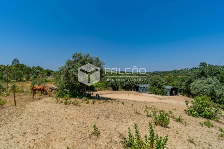 Quinta T4 para Venda em Brogueira, Parceiros de Igreja e Alcorochel Foto 47