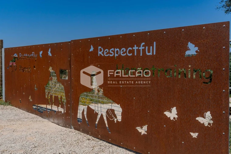 Quinta T4 para Venda em Brogueira, Parceiros de Igreja e Alcorochel Foto 49