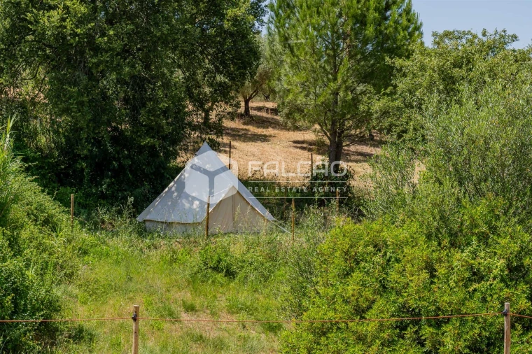 Quinta T4 para Venda em Brogueira, Parceiros de Igreja e Alcorochel Foto 39