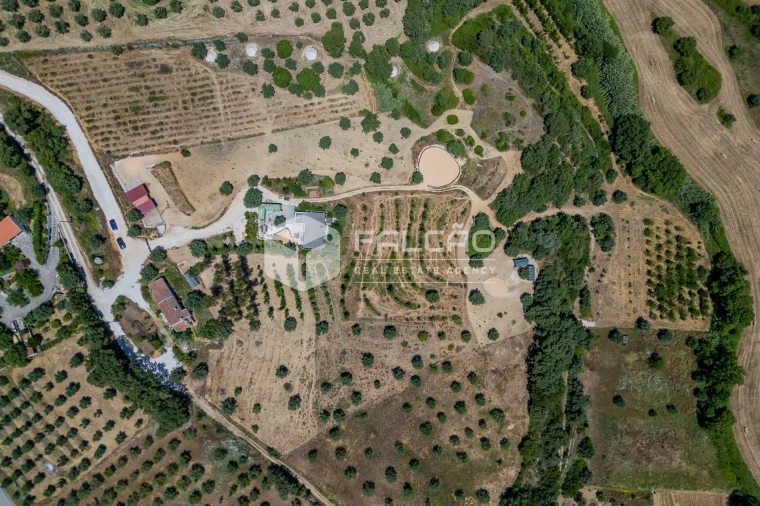 Quinta T4 para Venda em Brogueira, Parceiros de Igreja e Alcorochel Foto 3