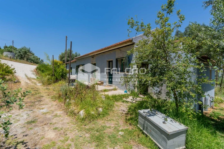 Quinta T4 para Venda em Brogueira, Parceiros de Igreja e Alcorochel Foto 41