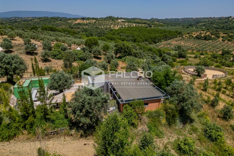 Quinta T4 para Venda em Brogueira, Parceiros de Igreja e Alcorochel Foto 5
