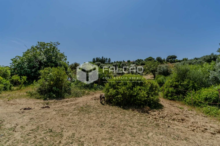 Quinta T4 para Venda em Brogueira, Parceiros de Igreja e Alcorochel Foto 45