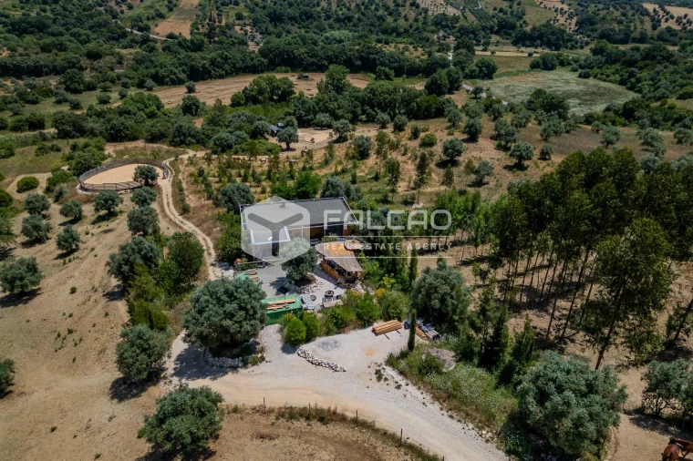 Quinta T4 para Venda em Brogueira, Parceiros de Igreja e Alcorochel Foto 36