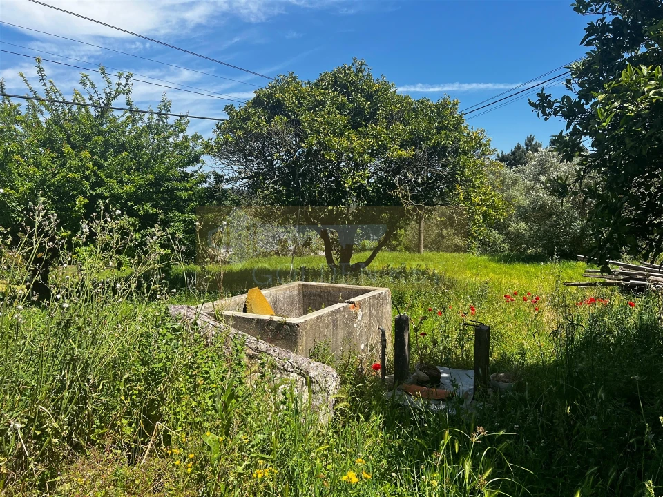 Moradia T0 para Venda em Milagres Foto 17