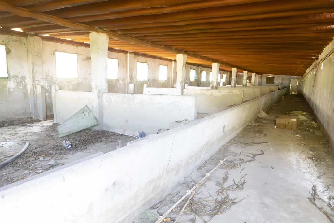 Quinta T0 para Venda em Coruche, Fajarda e Erra Foto 11