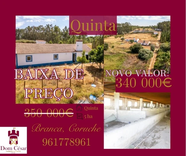 Quinta T0 para Venda em Coruche, Fajarda e Erra