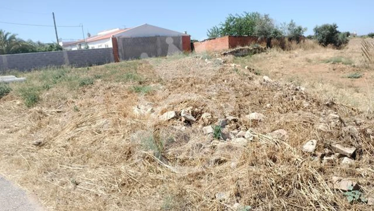 Terreno para Venda em Reguengos de Monsaraz Foto 3