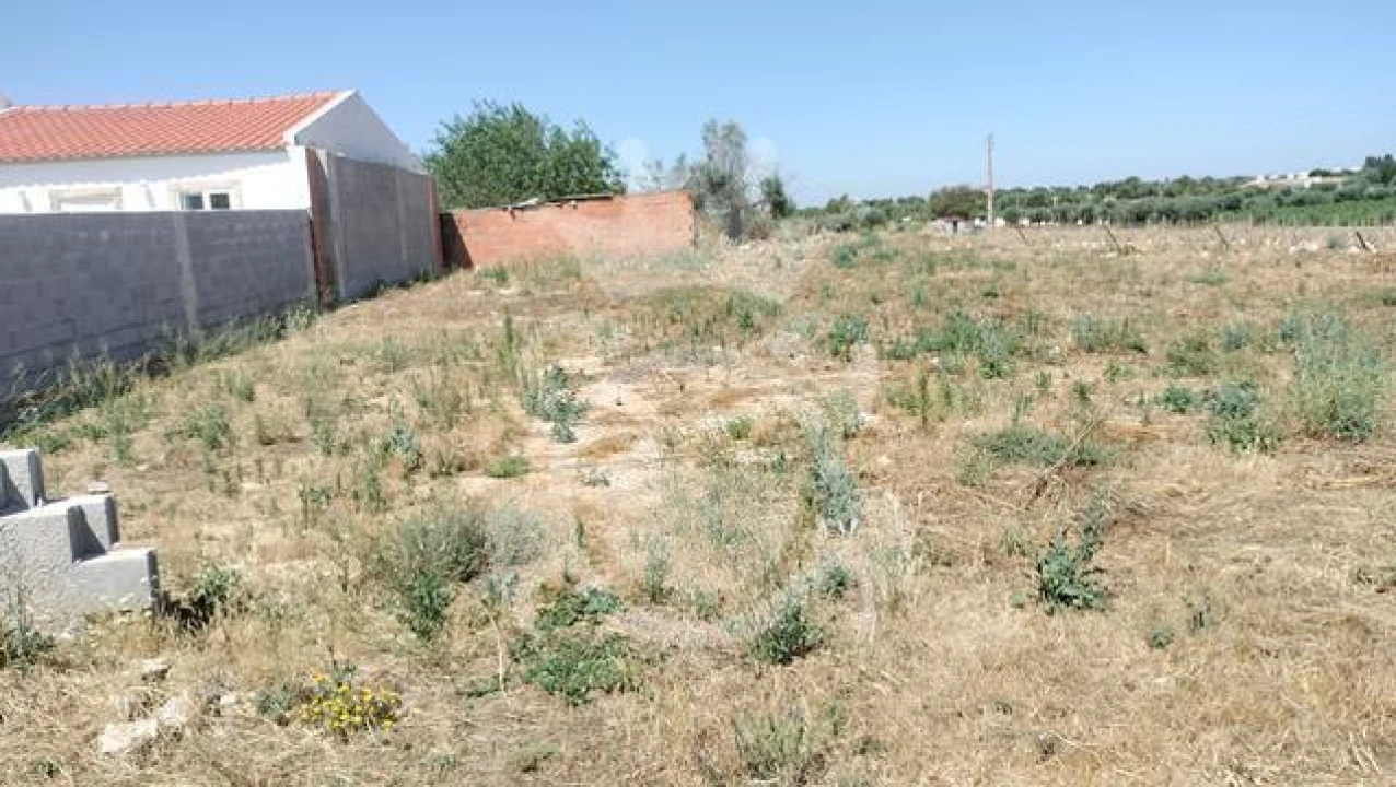 Terreno para Venda em Reguengos de Monsaraz Foto 2