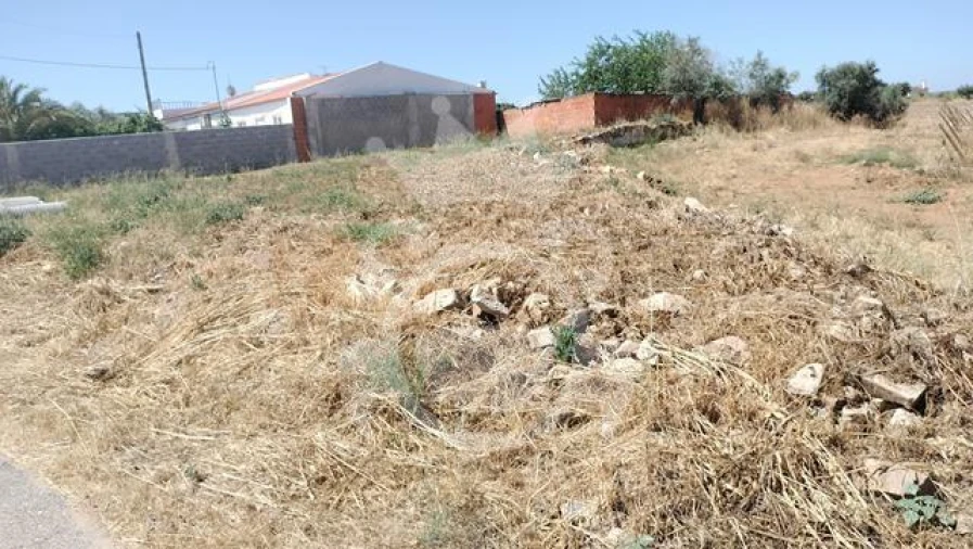 Terreno para Venda em Reguengos de Monsaraz Foto 3