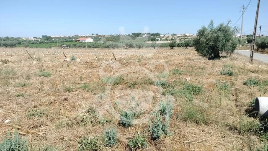 Terreno para Venda em Reguengos de Monsaraz Foto 8