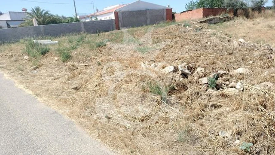 Terreno para Venda em Reguengos de Monsaraz Foto 4