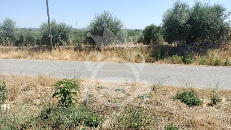 Terreno para Venda em Reguengos de Monsaraz Foto 10