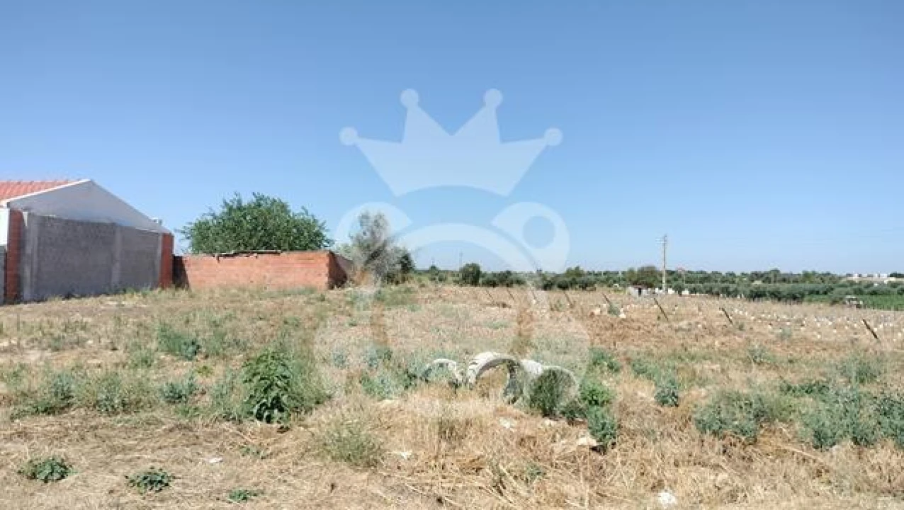 Terreno para Venda em Reguengos de Monsaraz Foto 6