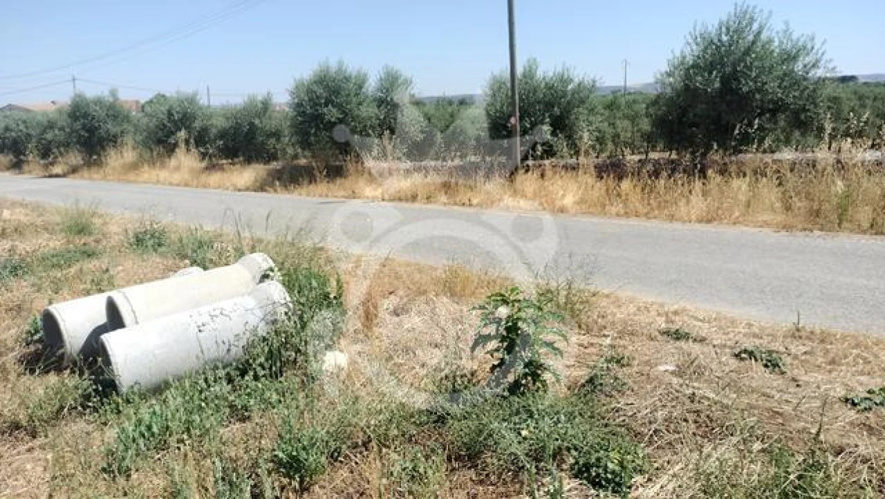 Terreno para Venda em Reguengos de Monsaraz Foto 9