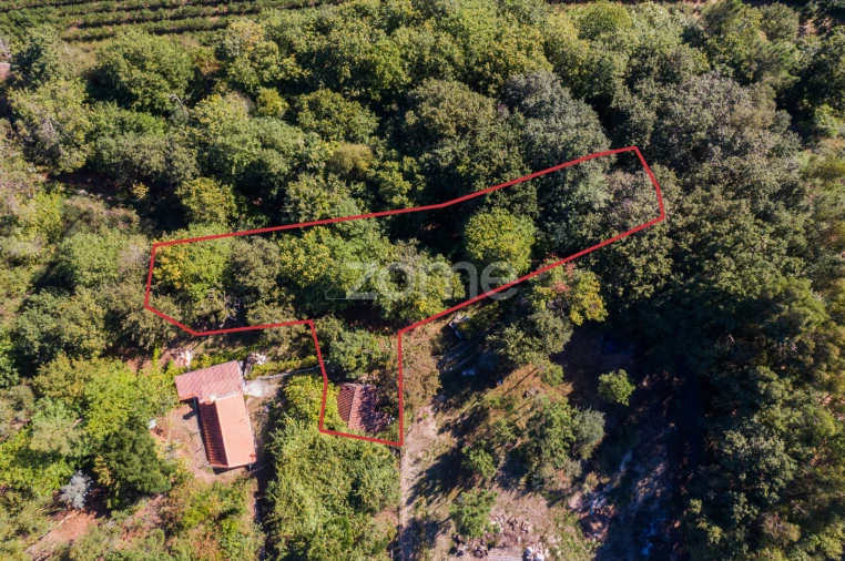 Moradia T1 para Venda em Tabuaças Foto 3