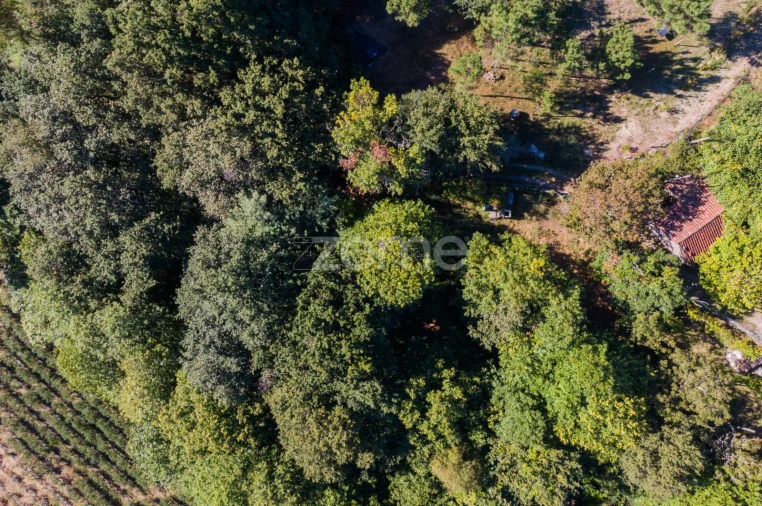 Moradia T1 para Venda em Tabuaças Foto 18