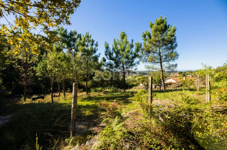 Moradia T1 para Venda em Tabuaças Foto 11