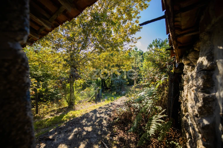 Moradia T1 para Venda em Tabuaças