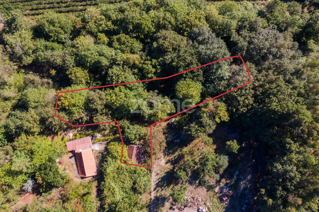 Moradia T1 para Venda em Tabuaças Foto 3