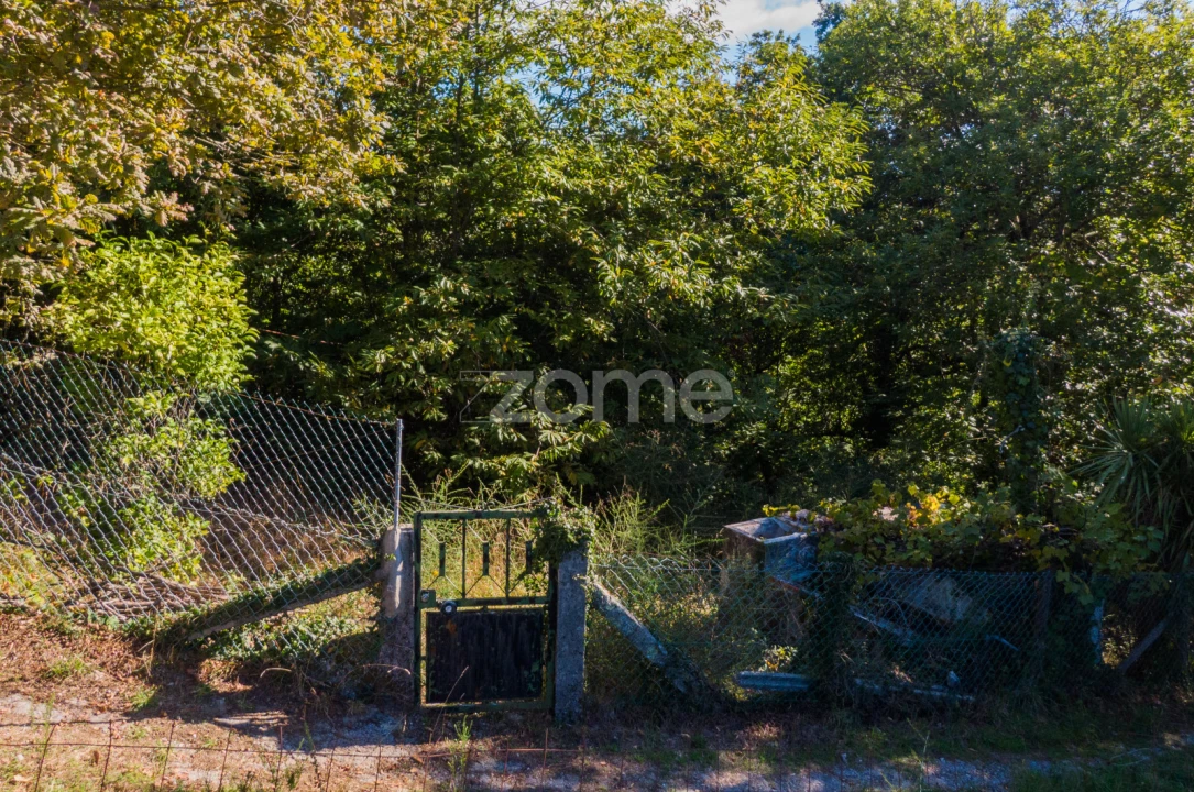 Moradia T1 para Venda em Tabuaças Foto 20