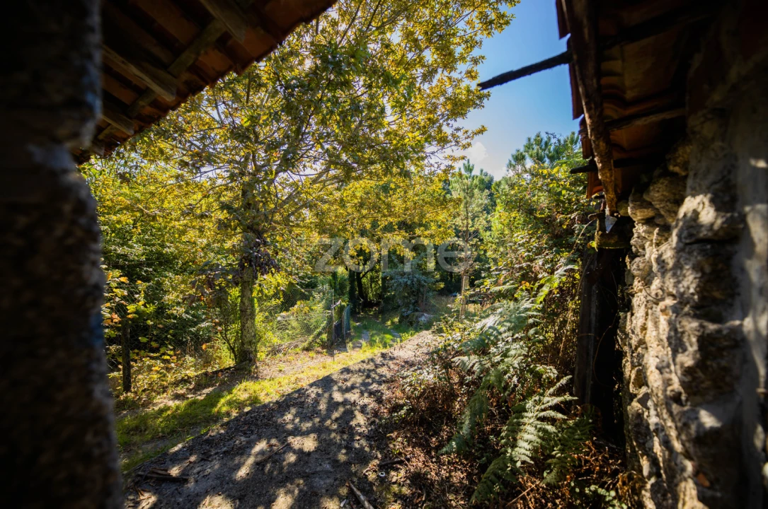 Moradia T1 para Venda em Tabuaças Foto 7