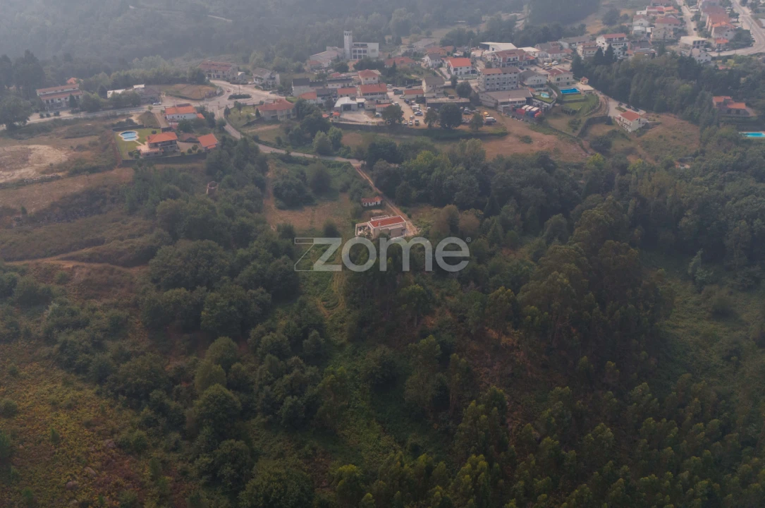 Terreno para Venda em Tabuaças Foto 19