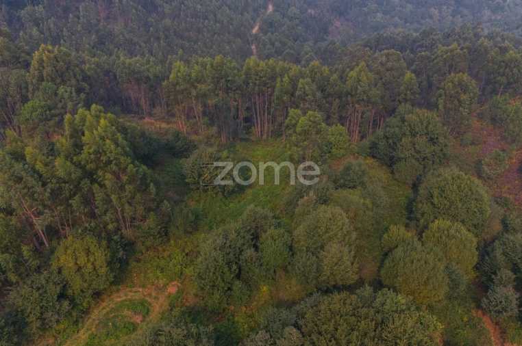 Terreno para Venda em Tabuaças Foto 5