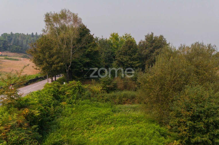 Terreno para Venda em Tabuaças Foto 11