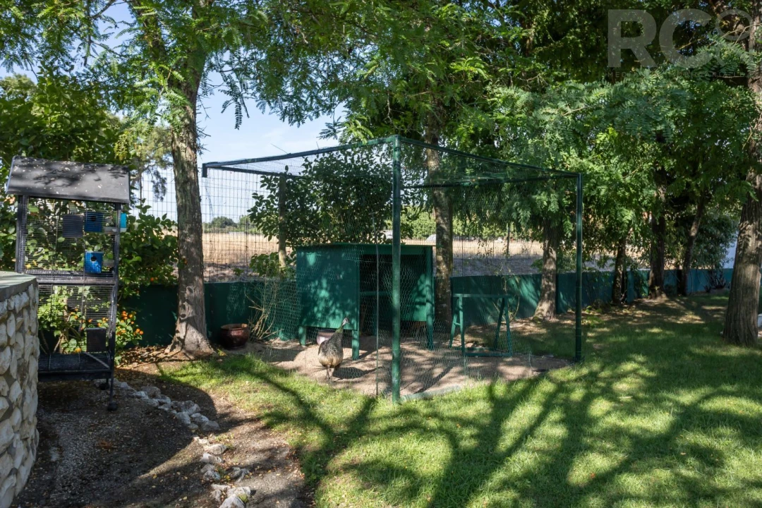 Quinta T8 para Venda em Landeira Foto 46