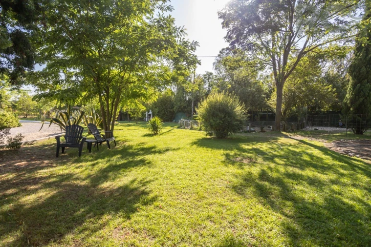 Quinta T8 para Venda em Landeira Foto 48