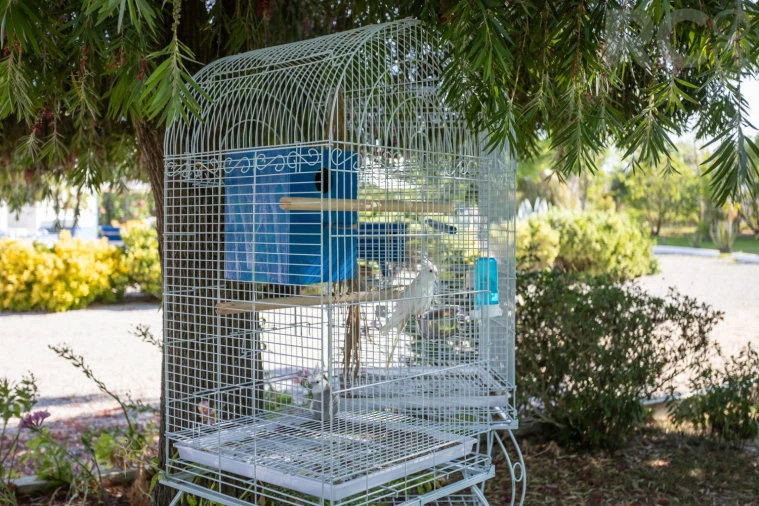 Quinta T8 para Venda em Landeira Foto 47