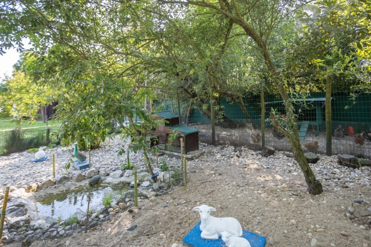 Quinta T8 para Venda em Landeira Foto 42