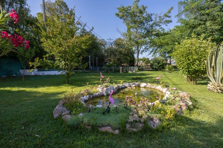 Quinta T8 para Venda em Landeira Foto 40