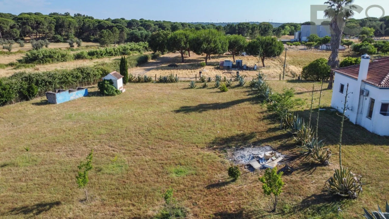 Quinta T8 para Venda em Landeira Foto 57