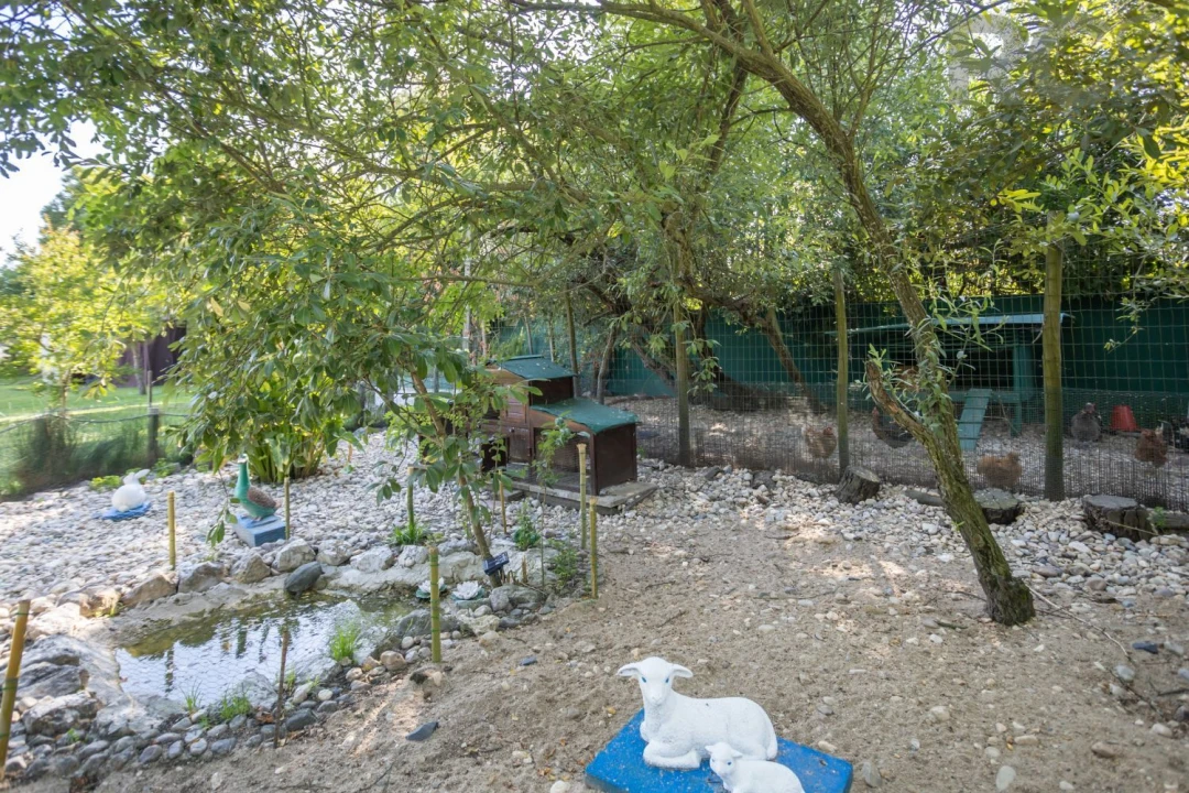 Quinta T8 para Venda em Landeira Foto 42